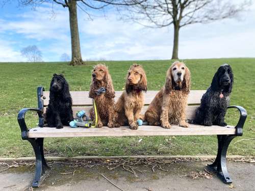 8ef8476a_a721_412b_a5f7_d1314a96ab7f